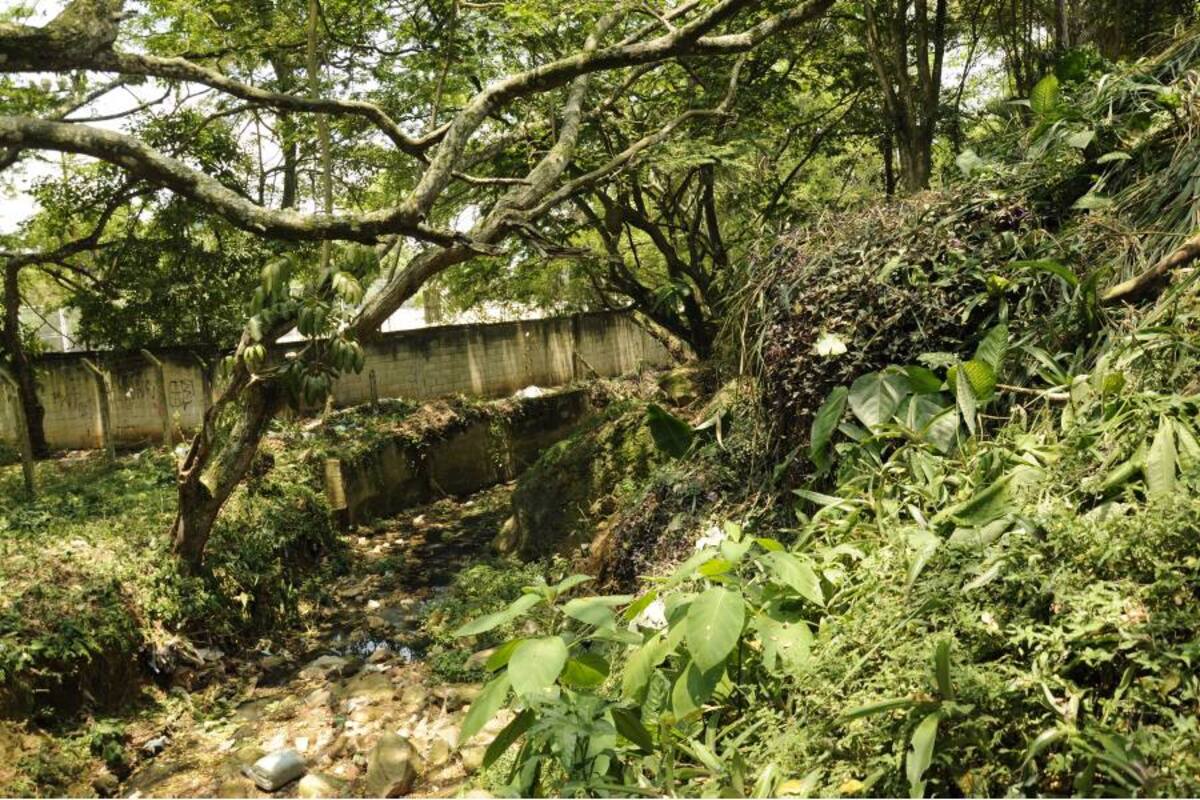 La quebrada La Calavera ha sido una de las fuentes hídricas con mayores indices de contaminación en la localidad. (Foto: Suministrada por la Cdmb / VANGUARDIA LIBERAL)