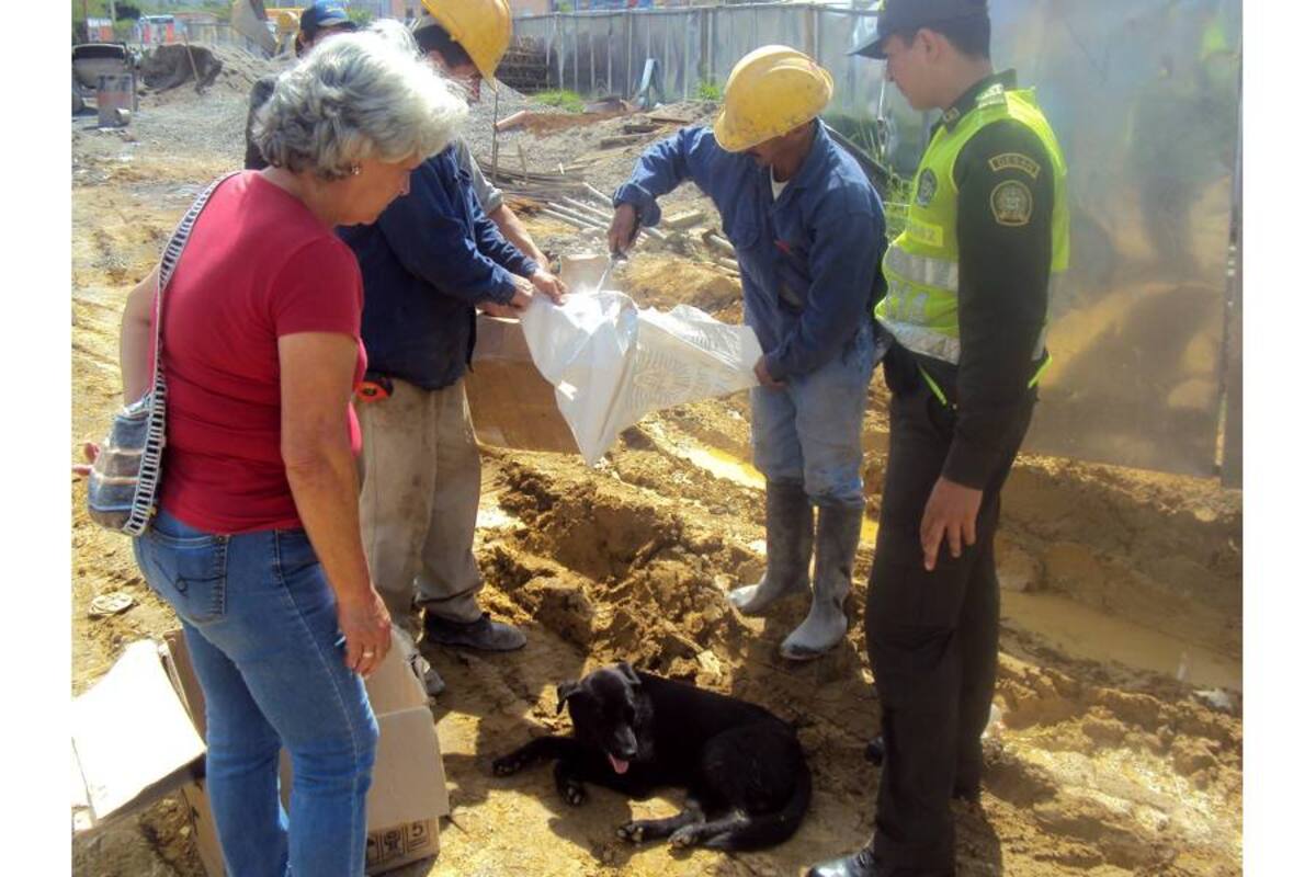 La Policía promueve el cuidado y protección animal en el municipio de San Gil. (Foto: Suministrada / VANGUARDIA LIBERAL)