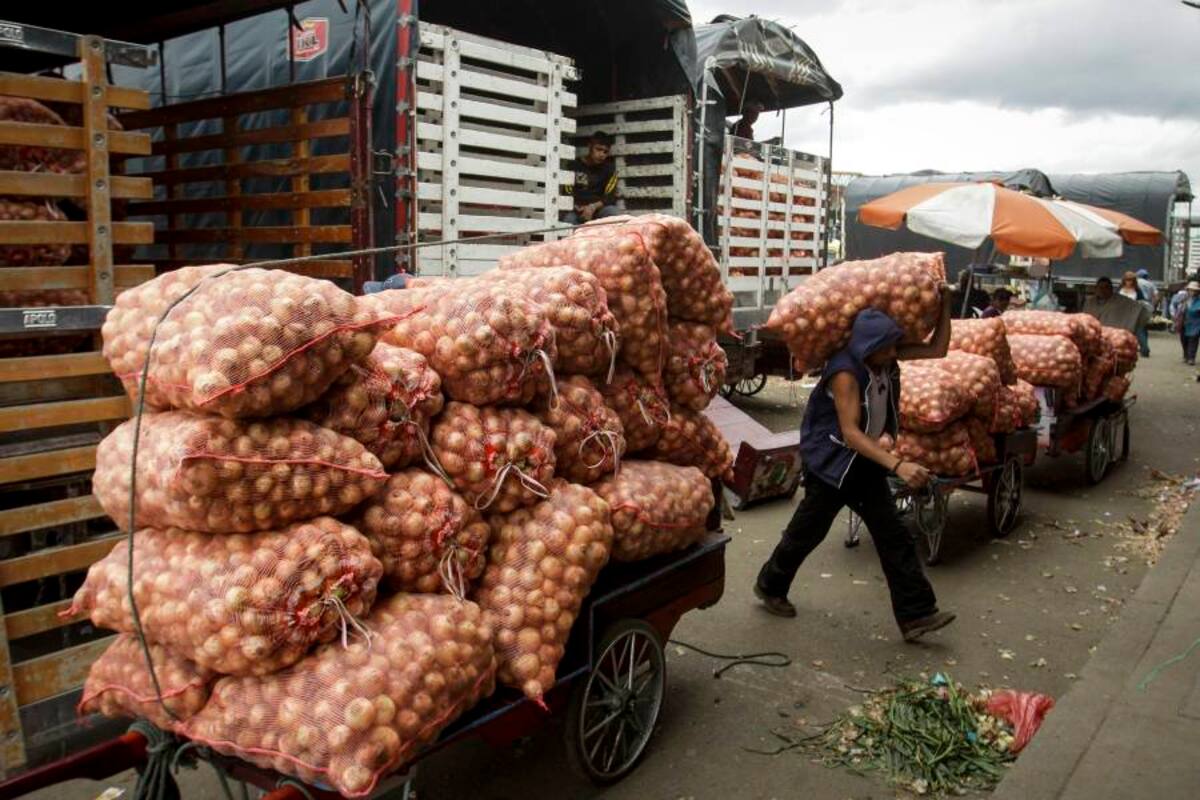 Para la FAO, un alza sostenida en los precios de los mismos se traduce en menos alimentación o en una alimentación menos sana y equilibrada. (Foto: Archivo/VANGUARDIA LIBERAL)
