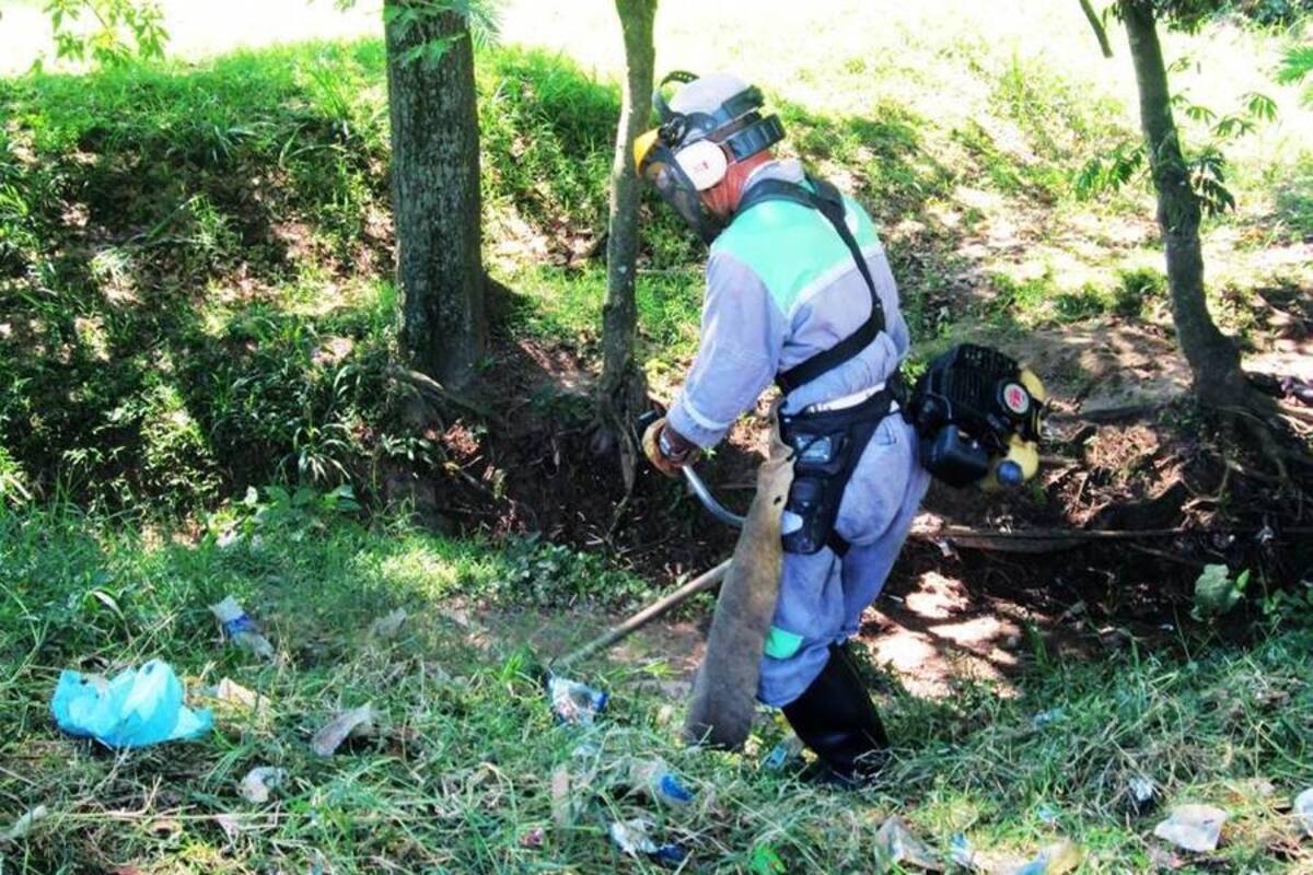 Recientemente la PDS y la Administración Municipal de Piedecuesta firmaron un convenio para hacer la poda en las zonas verdes. (Foto: Suministrada/VANGUARDIA LIBERAL )