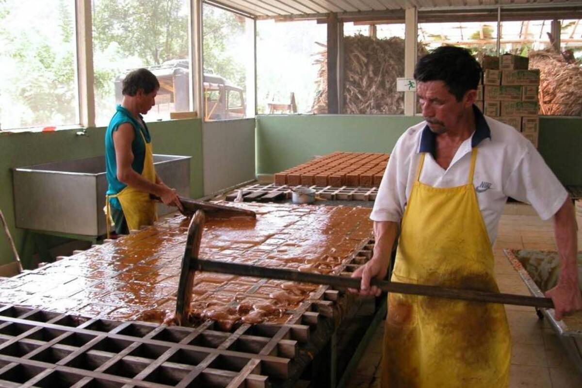 Las amenazas de paro llegaron a las huestes paneleras del país. Están vendiendo a precios del año 2.000, por lo que sienten que están quebrados. (Foto: Archivo/VANGUARDIA LIBERAL)