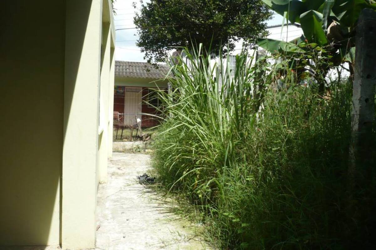 Los alrededores del comedor infantil se convierten en refugio de delincuentes debido a la falta de cerramiento y mantenimiento de la zona verde. (Foto: Liliana Carvajal/VANGUARDIA LIBERAL )