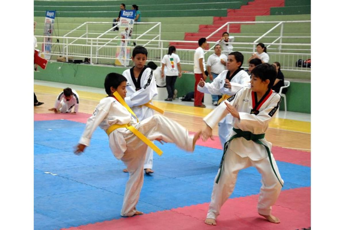 Las espectaculares técnicas de patada se apoderaron durante el pasado fin de semana del coliseo Vicente Díaz Romero, con motivo del II Campeonato Departamental de Taekwondo, que congregó a 290 atletas de Santander y Bogotá. (Foto: Jaime Del Río / VANGUARDIA LIBERAL)