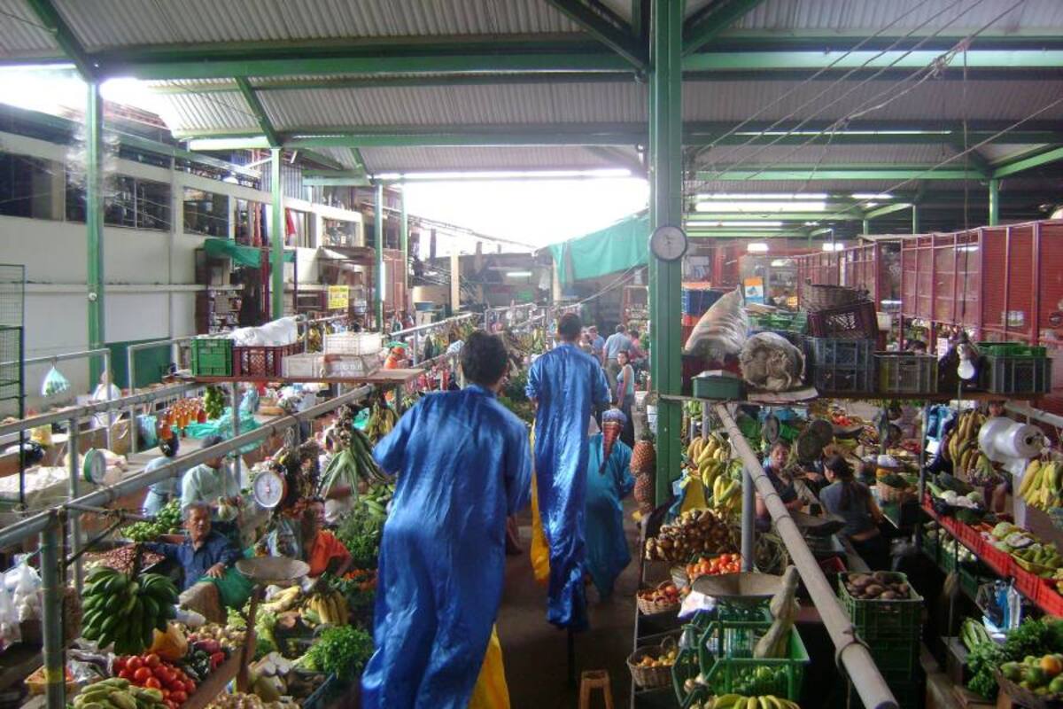 El Municipio a través de la Secretaría de Gobierno implementó una estrategia de reorganización de las plazas de mercado de carácter público para que no queden excluidas por la agresiva campaña de mercadeo que adelantan las cadenas de supermercados del sector privado (Foto: Edgar Omar Bustos A/ VANGUARDIA LIBERAL )