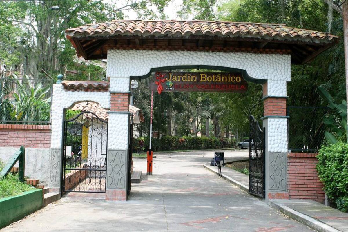 En el Jardín Botánico Eloy Valenzuela se continuará presentando la V Exposición Nacional de Orquídeas, que busca acercar a los florideños con el cuidado y aprecio por la naturaleza. (Foto: Archivo / VANGUARDIA LIBERAL)
