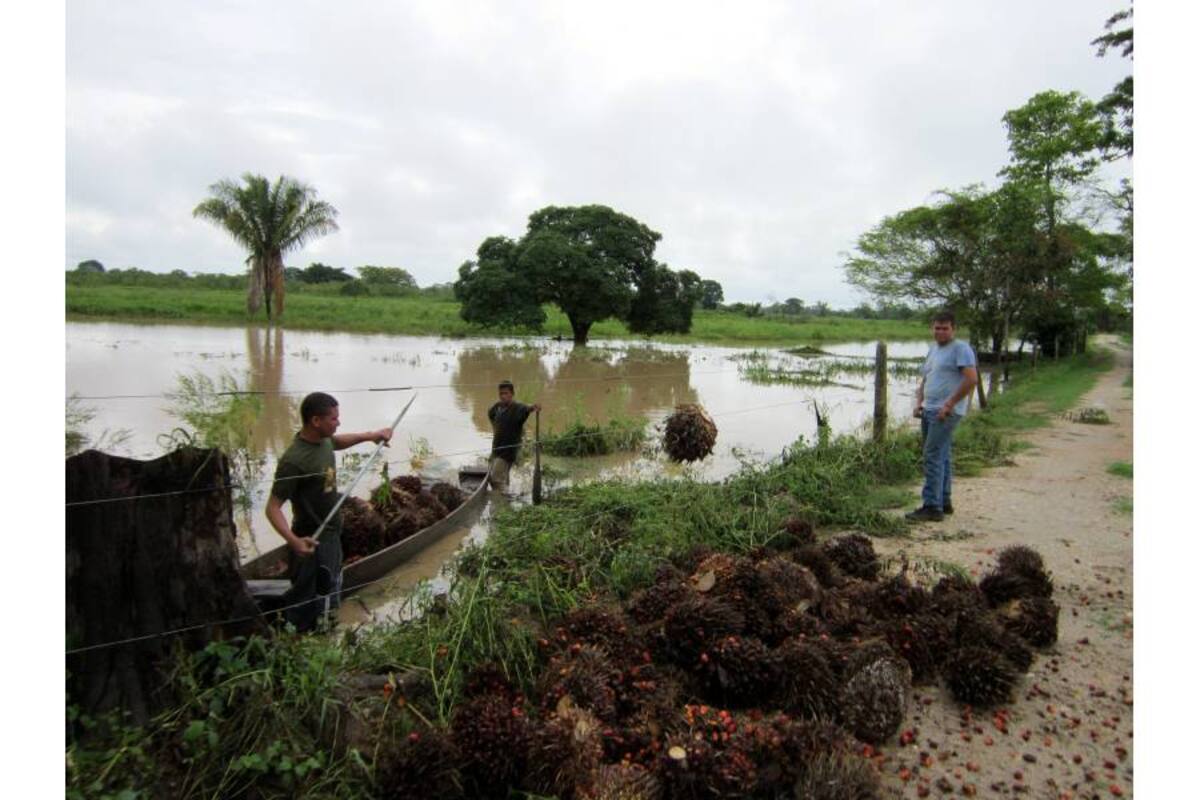 La zona baja de Sabana de Torres, donde se construirá el distrito de Magará, posee tierras muy fértiles, pero las inundaciones son su dolor de cabeza en cada invierno. (Foto: Archivo/VANGUARDIA LIBERAL)