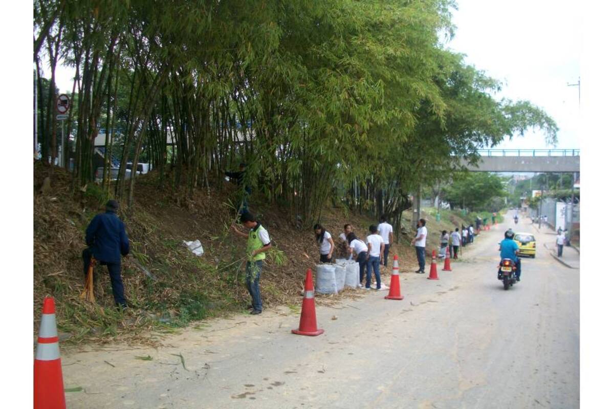 Los jóvenes de la Policía se encargaron de limpiar las zonas verde que estaba siendo usadas por los delincuentes para esconderse y atentar contra los estudiantes de la zona. (Foto: Suministrada por la Policía / VANGUARDIA LIBERAL)