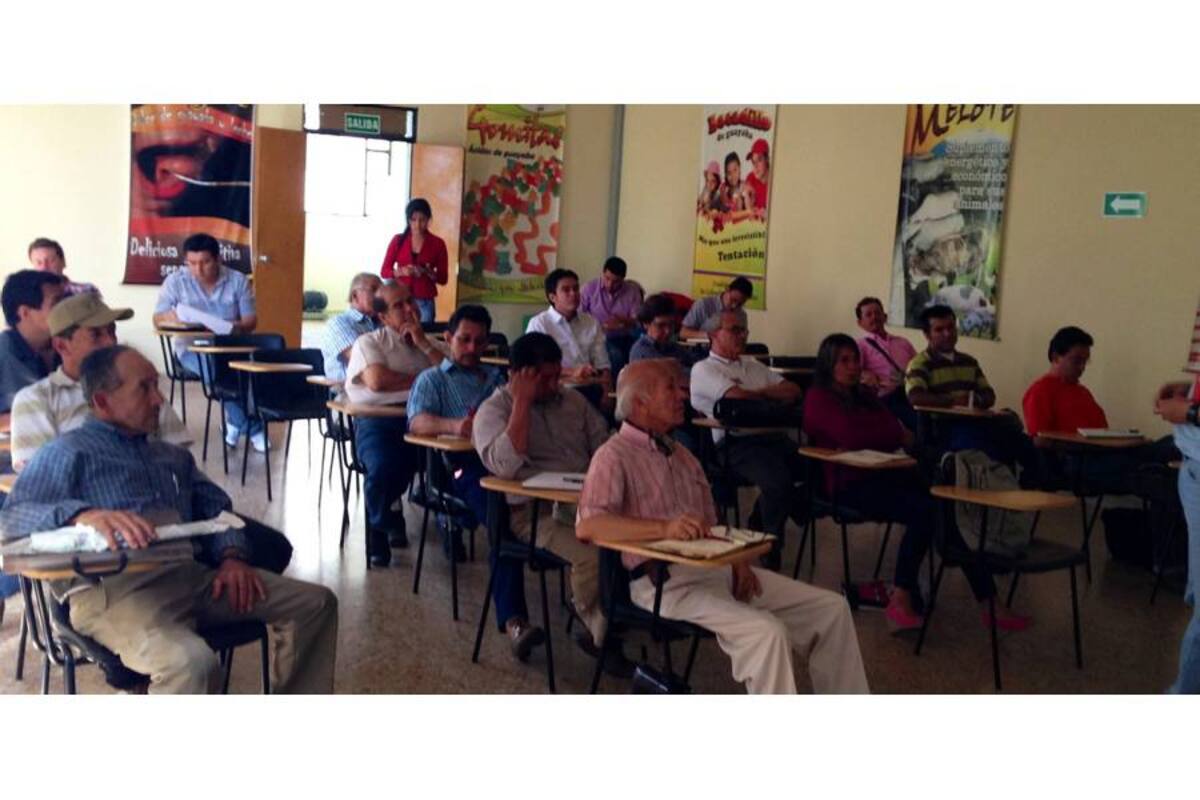 Acciones encaminadas a buscar soluciones a los problemas fitosanitarios que presentan los cultivos de guayaba buscan las entidades que hacen pate del Comité de la cadena productiva de guayaba de la provincia de Vélez, en Santander, y Ricaurte en Boyacá. (Foto: Archivo /VANGUARDIA LIBERAL )