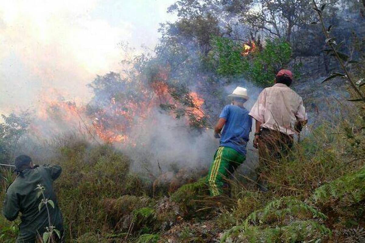 El incendio duró más de ocho horas y dejó una persona con quemaduras leves en brazos y rostro, y pérdida de capa vegetal en más de 10 hectáreas. (Foto: Suministrada / VANGUARDIA LIBERAL)