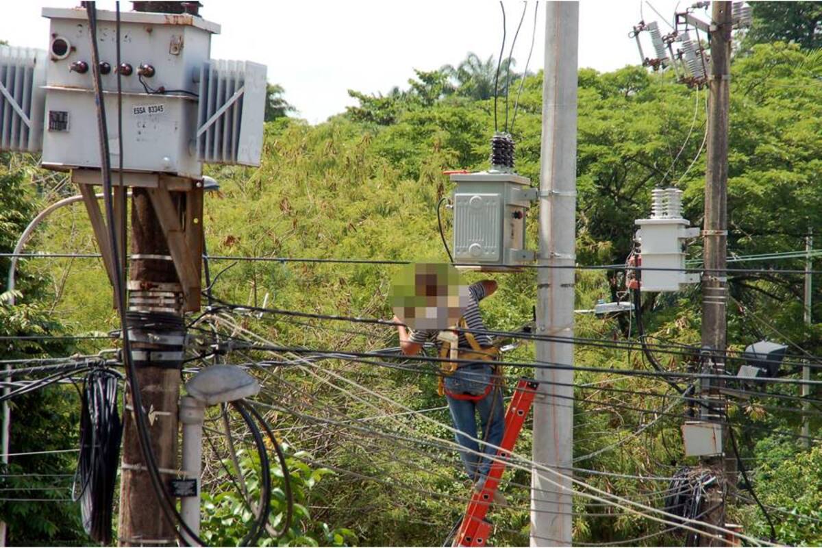 A través de un proyecto piloto en Barrancabermeja se instalarán transformadores inmersos en aceite vegetal, en vez de derivados de hidrocarburos. (Foto: Edgar Pernett/VANGUARDIA LIBERAL)