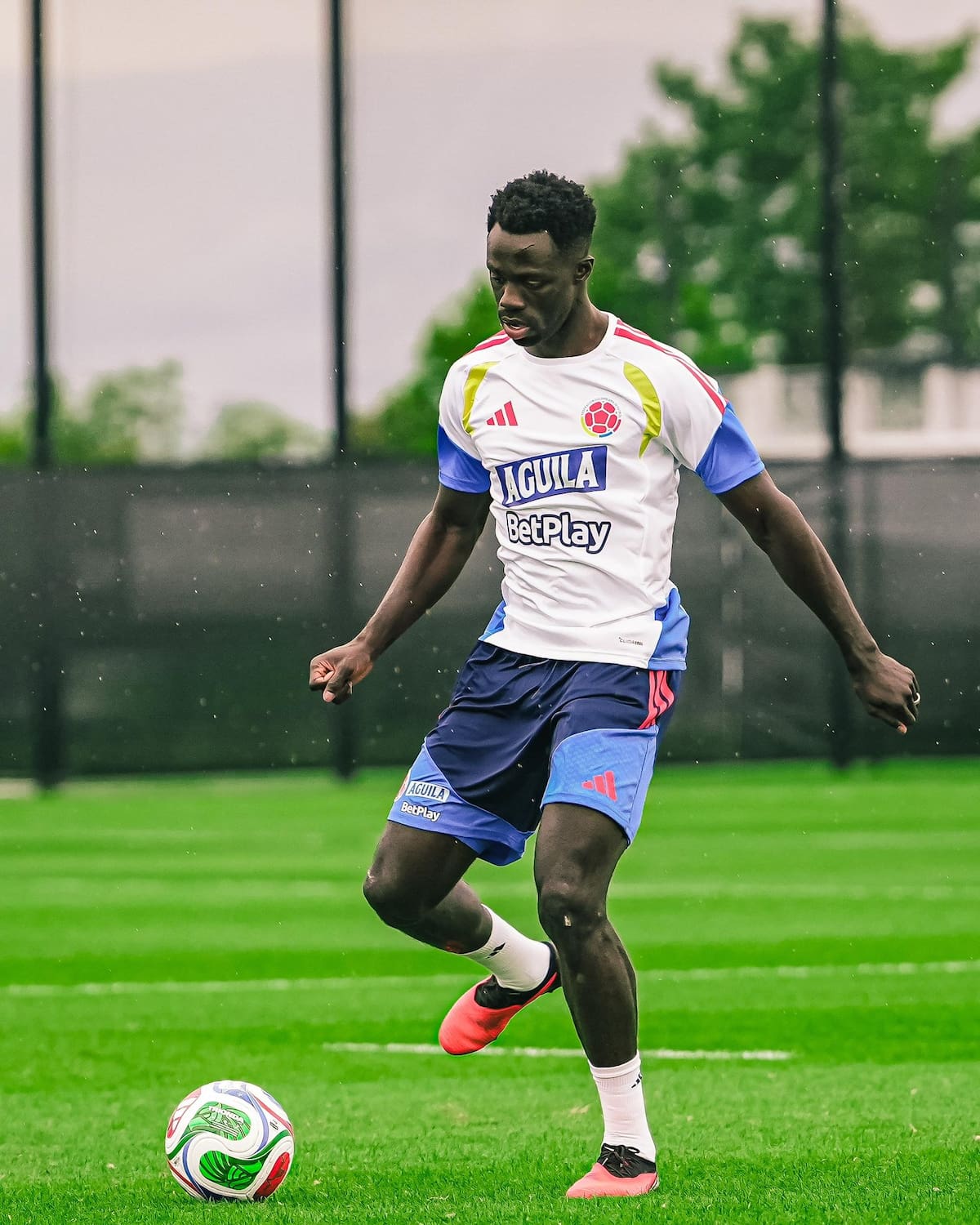Dávinson Sánchez, uno de los jugadores convocados por Néstor Lorenzo. Foto: FCF