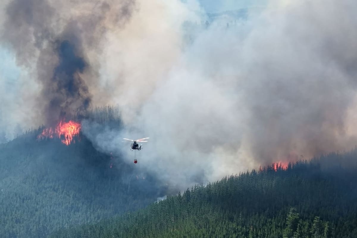 Fotografía tomada de la cuenta oficial de la red social X @NachoTorresCH del Gobernador de la provincia de Chubut, Ignacio Torres, que muestra una zona afectada por un incendio este martes, en Puerto Patriada (Argentina). Decenas de personas fueron evacuadas por los incendios forestales que azotan a la región de la Patagonia de Argentina, en el sur del país, que ya arrasaron miles de hectáreas de bosques y campos de producción agropecuaria. EFE/ @nachotorresch /SOLO USO EDITORIAL/NO VENTAS/ SOLO DISPONIBLE PARA ILUSTRAR LA NOTICIA QUE ACOMPAÑA (CRÉDITO OBLIGATORIO)