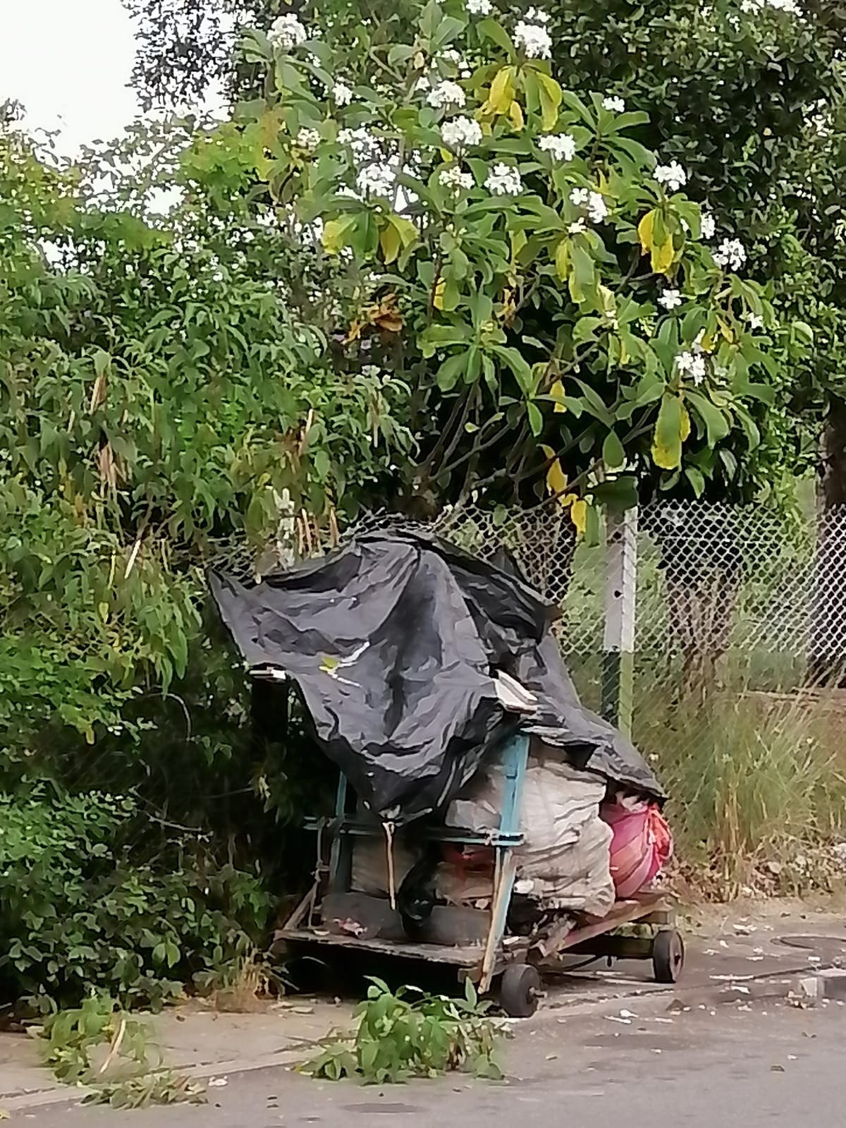 Los desechos invaden también los andenes y maltratan a la zona verde de la calle 36 con 2A. (Foto suministrada / VANGUARDIA)