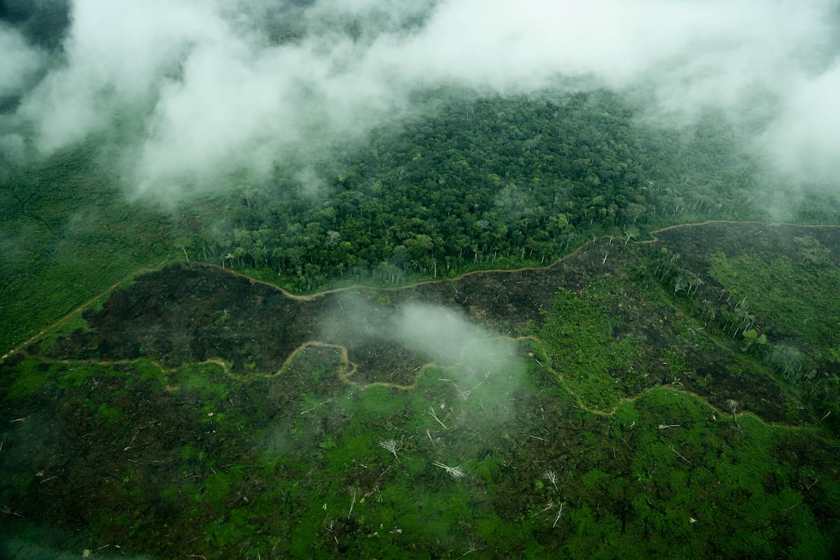 Deforestación en la Amazonía, la selva tropical más grande del mundo.