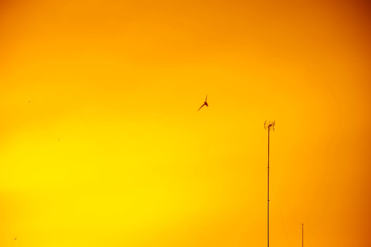 Del conflicto armado en Santander al cielo de España. Foto suministrada/VANGUARDIA