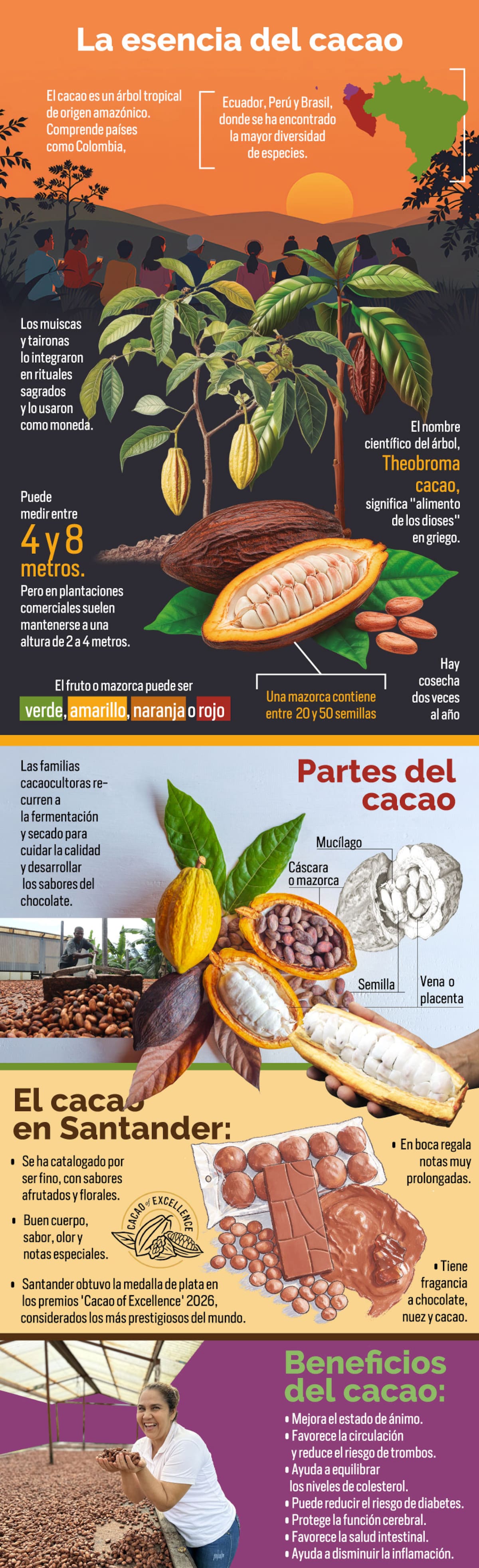 Diseño Mónica Mantilla/Vanguardia