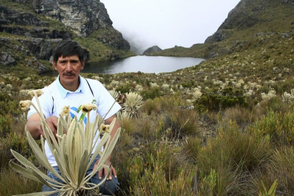 En el Páramo de Santurbán nace el agua para dos millones de personas, siendo Bucaramanga la más favorecida. (Foto: Archivo / VANGUARDIA LIBERAL)