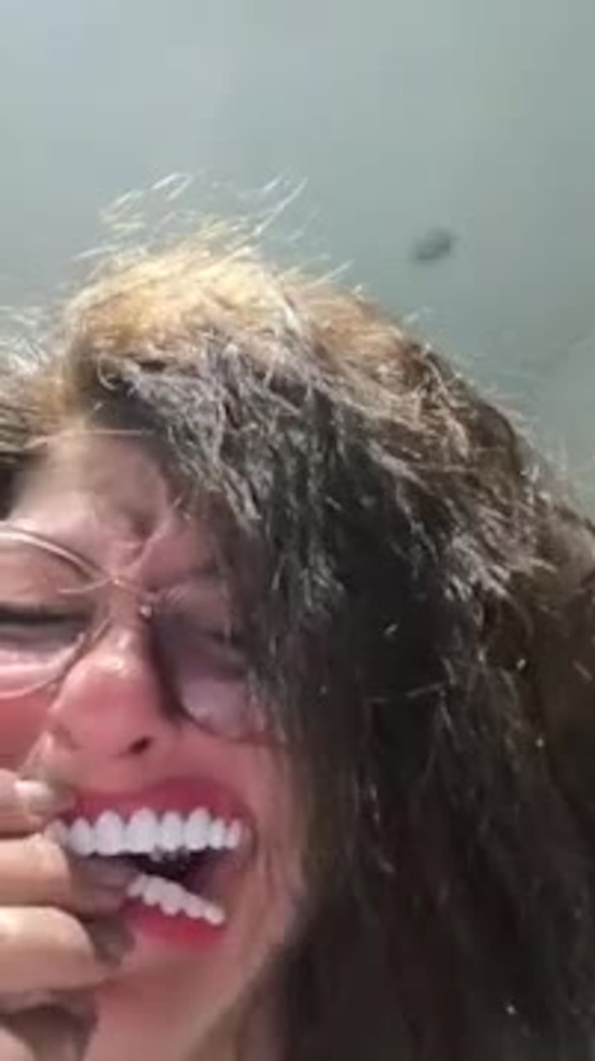 La dentadura postiza de Shein La dentadura postiza de Shein que se volvió viral generó miles de comentarios y memes en TikTok.