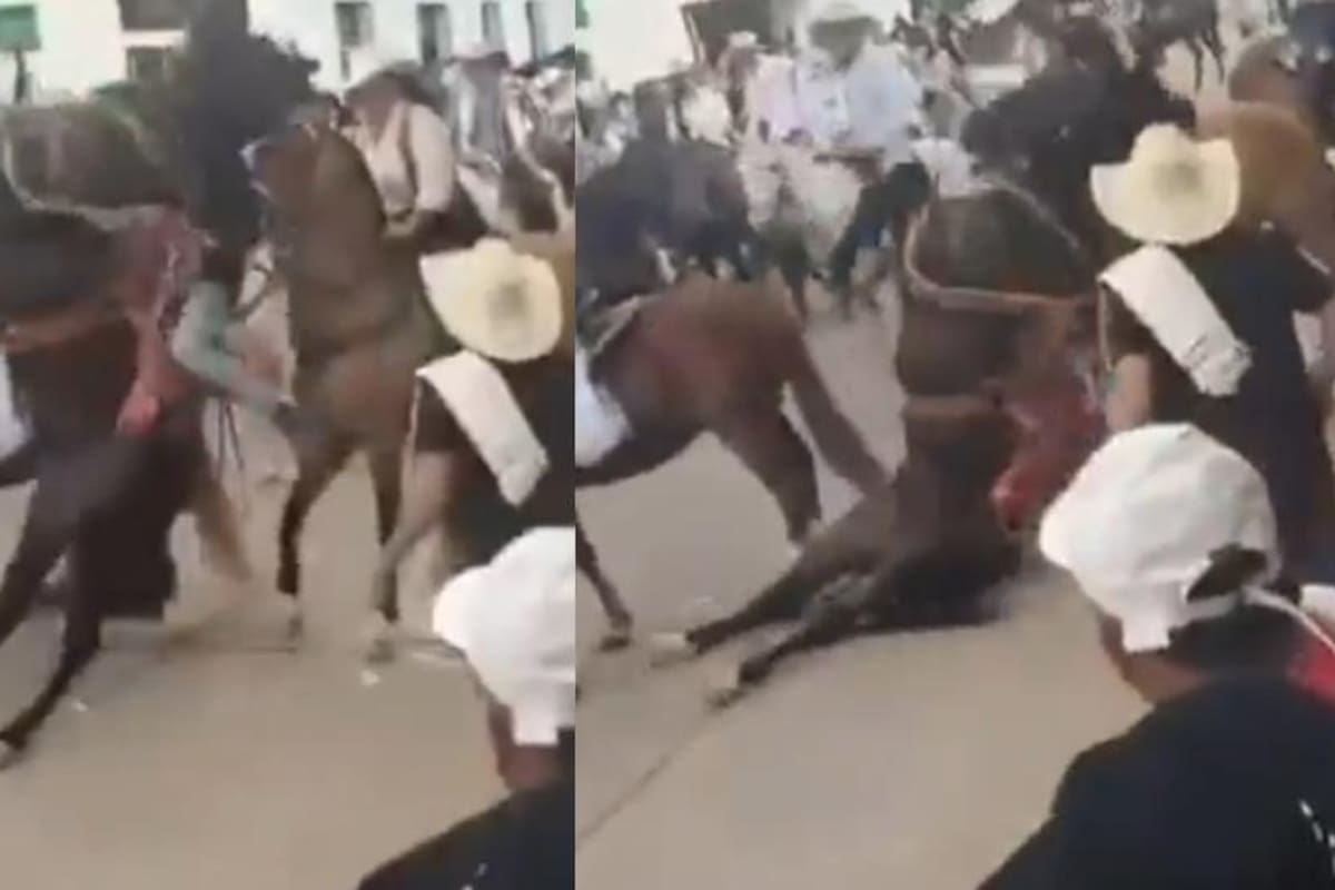 Denuncian la muerte de un caballo durante las ferias de Villanueva, Santander | Foto Tomada de video