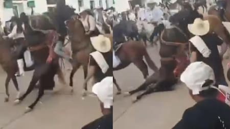 Denuncian la muerte de un caballo durante las ferias de Villanueva, Santander