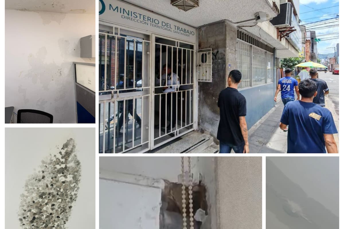 Denuncian las condiciones de la sede de Mintrabajo en Bucaramanga | Suministradas / VANGUARDIA