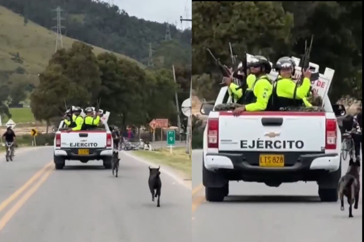 Denuncian que militares habrían dejado a dos perros abandonados en una vía de Bogotá. | Tomada de Video.