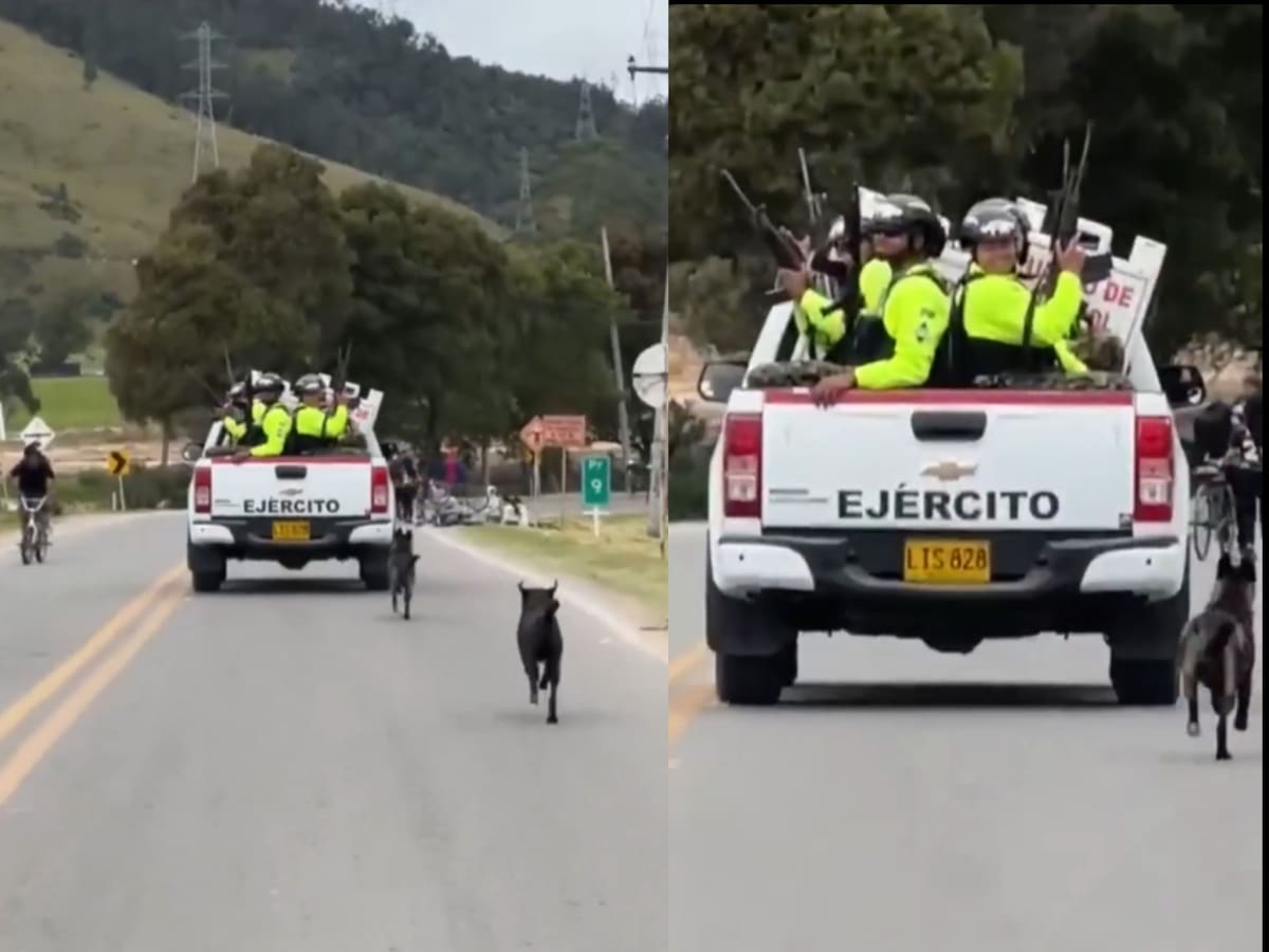 Denuncian que militares habrían dejado a dos perros abandonados en una vía de Bogotá. | Tomada de Video.