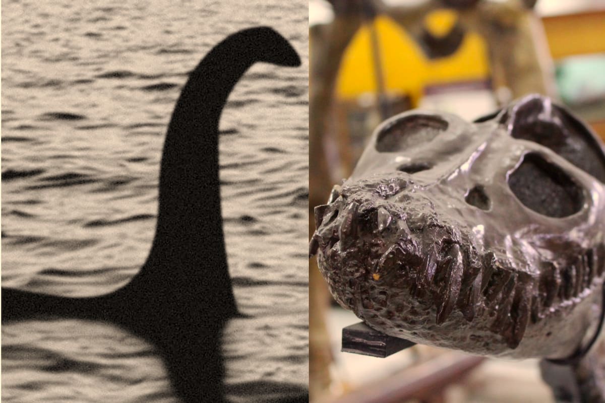 Si bien los dos “monstruos” pertenecen a épocas y lugares muy diferentes, sus historias capturan la imaginación y la curiosidad humanas en torno a los misterios de la naturaleza y la historia de nuestro planeta. Fotos tomadas de redes sociales/VANGUARDIA