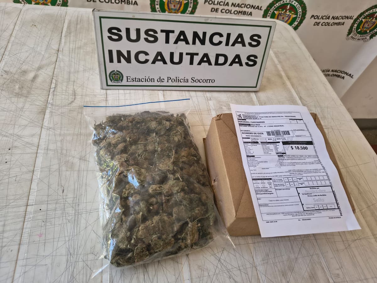 Descubren encomienda con marihuana en empresa de mensajería de Santander