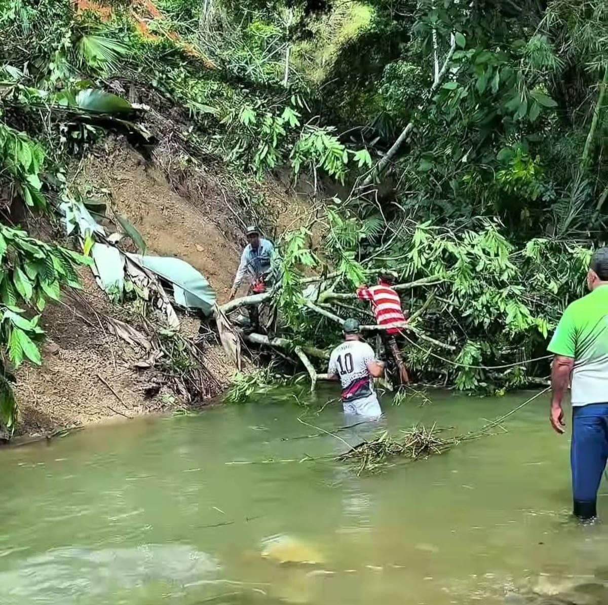 El fenómeno de remoción en masa registrado en la vereda El Bambú, en Rionegro, arrastró tierra y árboles hasta el cauce del río, generando riesgo de represamiento.
Suministrada/Vanguardia