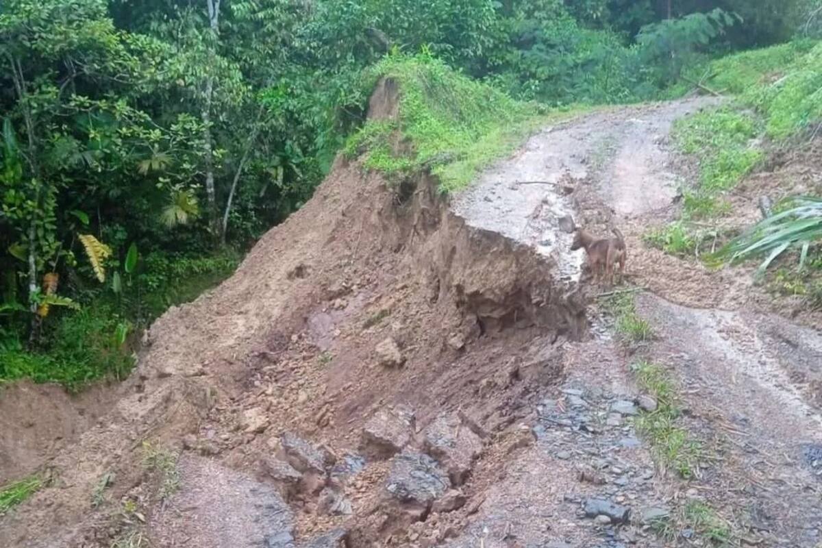 Derrumbes y pérdida total de banca mantienen incomunicadas a más de 20 veredas rurales de San Vicente de Chucurí.
Suministrada/Vanguardia