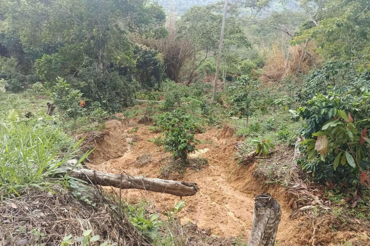 Derrumbes y pérdida total de banca mantienen incomunicadas a más de 20 veredas rurales de San Vicente de Chucurí.
Suministrada/Vanguardia