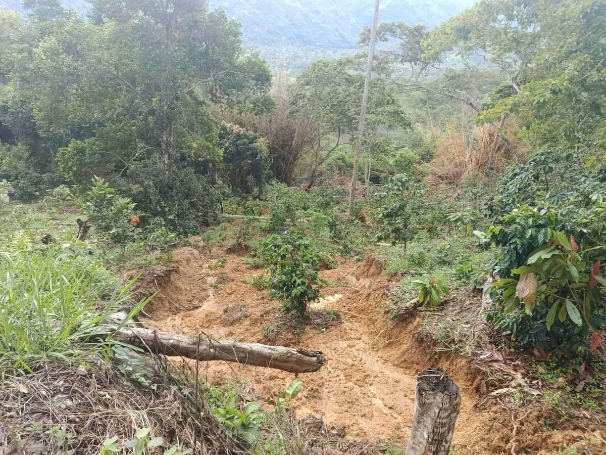 Derrumbes y pérdida total de banca mantienen incomunicadas a más de 20 veredas rurales de San Vicente de Chucurí.
Suministrada/Vanguardia