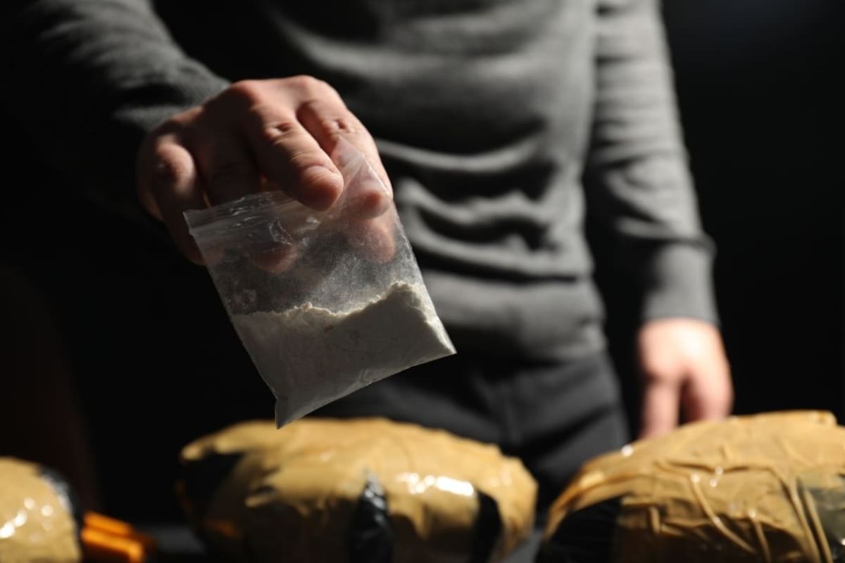 Desmantelan complejo cocalero del Eln que enviaba droga a Europa y Norteamérica. | foto: Vanguardia / Canva