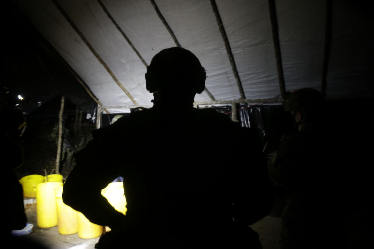 Desmantelan complejo cocalero del Eln que enviaba droga a Europa y Norteamérica. | foto: Colprensa
