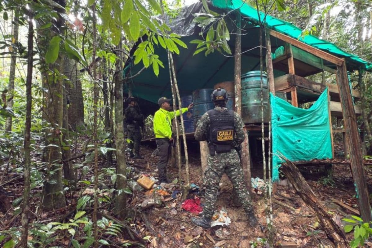 Desmantelan laboratorio de coca en Santander: producía millones para el Clan del Golfo
