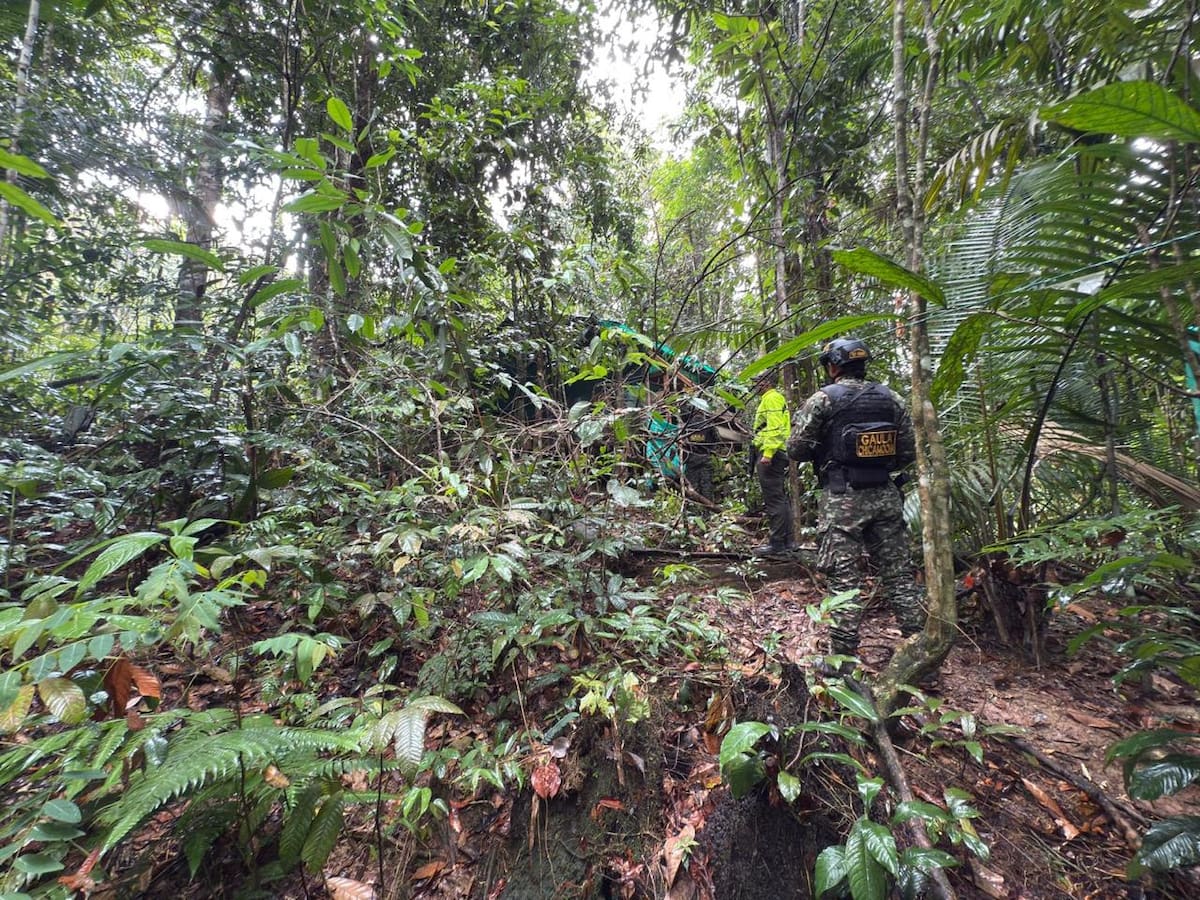 Desmantelan laboratorio de coca en Santander: producía millones para el Clan del Golfo