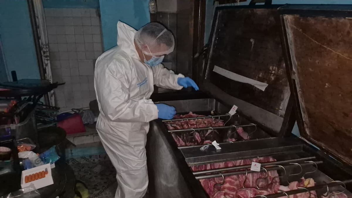 Desmantelan red que sacrificaba caballos y vendía su carne en Bucaramanga