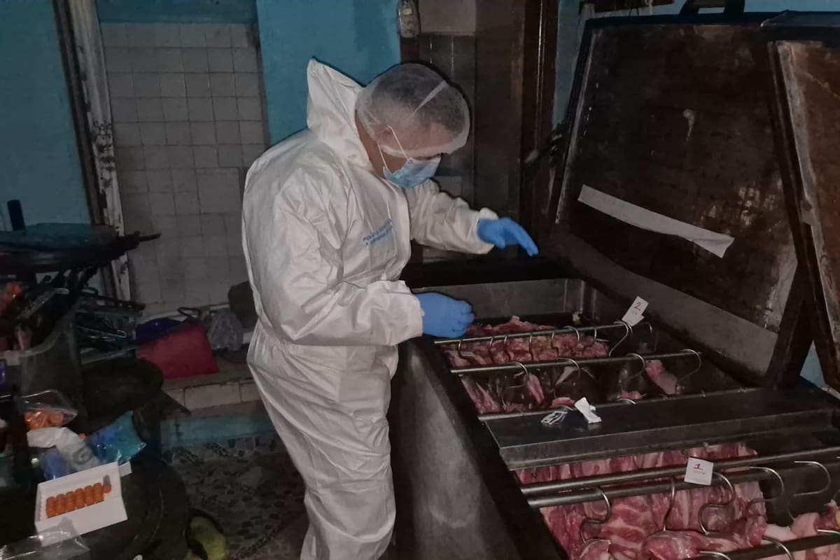 Desmantelan red que sacrificaba caballos y vendía su carne en Bucaramanga