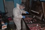 Desmantelan red que sacrificaba caballos y vendía su carne en Bucaramanga