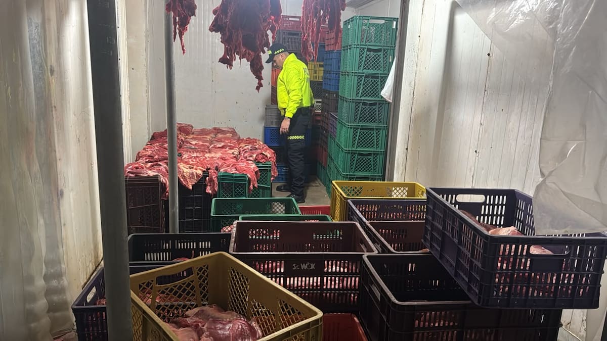 Desmantelan red que sacrificaba caballos y vendía su carne en Bucaramanga