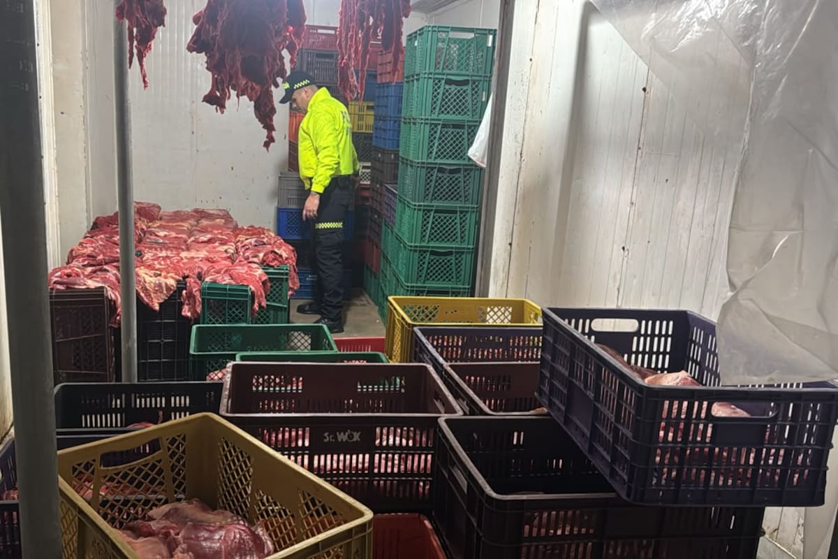 Desmantelan red que sacrificaba caballos y vendía su carne en Bucaramanga