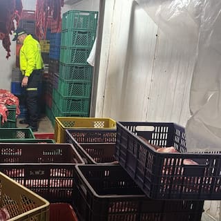 Desmantelan red que sacrificaba caballos en Bucaramanga: 1,4 toneladas de carne incautadas
