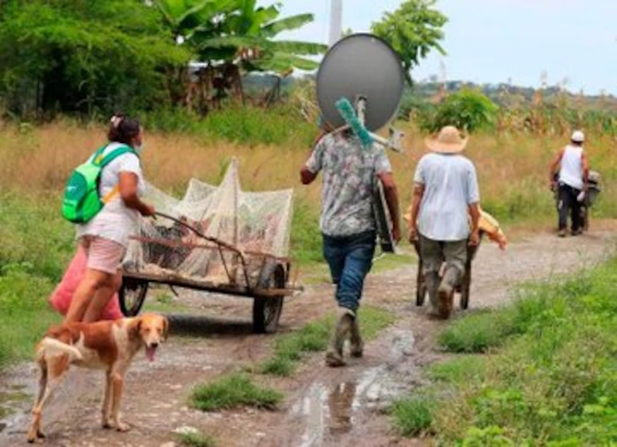 Violencia en el Catatumbo: Defensoría alerta por desplazamiento de 250 personas tras combates.