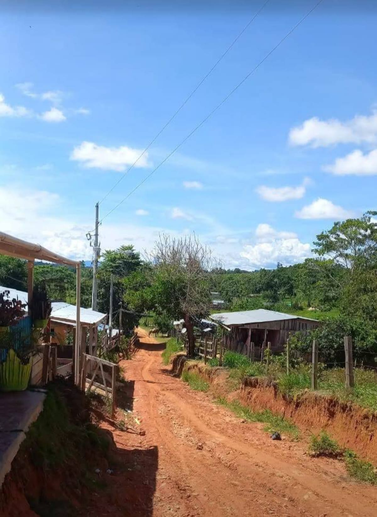 Familias campesinas de la vereda Río Bagre abandonaron sus viviendas tras quedar en medio de los enfrentamientos entre grupos armados ilegales en zona rural de Remedios, Antioquia. Organizaciones humanitarias solicitaron atención urgente para la población desplazada.
Suministrada/Vanguardia