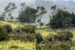 Despliegan 120 soldados en Silvia Cauca tras violenta disputa entre Misak y Nasa