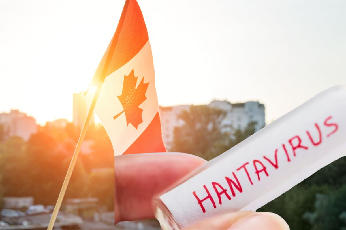 Detectan primer caso sospechoso de hantavirus en Canadá por brote en crucero MV Hondius. | Foto: Vanguardia