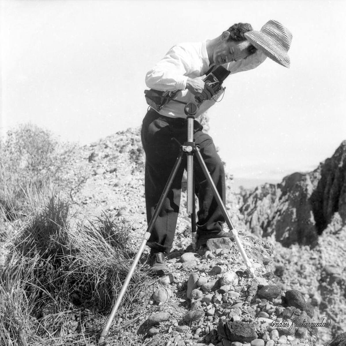 Jaime del Rio