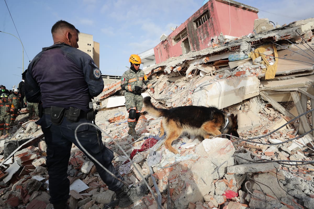 AME5030. LA GUAIRA (VENEZUELA), 26/06/2026.- Un rescatista del Ejercito de México junto a su perro trabajan en un edificio afectado por un terremoto este viernes, en La Guaira (Venezuela). El ministro de Interior de Venezuela, Diosdado Cabello, anunció la restricción del acceso al estado La Guaira (norte, cercano a Caracas), el más afectado por los terremotos, a partir de las 20.00 horas locales (00.00 GMT) de este viernes. EFE/ Ronald Peña R