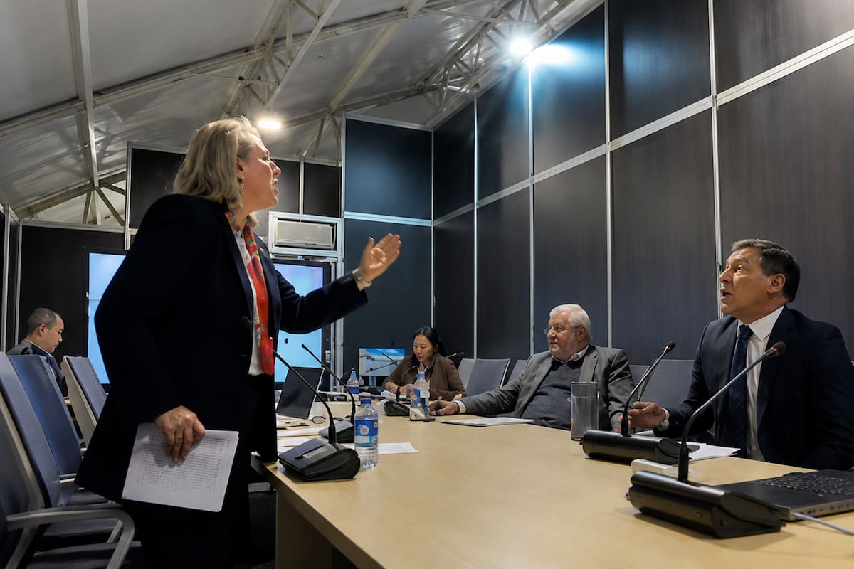 pelea entre los magistrados del CNE Álvaro Hernán Prada y Fabiola Márquez por la decisión de esta funcionaria de suspender las encuestas de Atlas Intel.